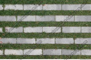 free photo texture of tiles floor overgrown